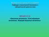 Биохимия витаминов. Классификация витаминов. Жирорастворимые витамины