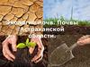 Экология почв. Почвы Астраханской области
