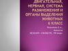 Опорно-двигательная, нервная, система размножения и органы выделения животных. 6 класс