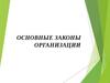 Основные законы организации. 2