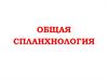 Общая спланхнология