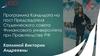 Программа Кандидата на пост Председателя Студенческого совета  Финансового университета при Правительстве РФ Каплиной Виктории