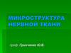 Микроструктура нервной ткани