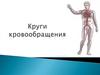Круги кровообращения