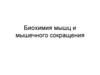 Биохимия мышц и мышечного сокращения