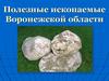 Полезные ископаемые Воронежской области