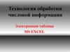 Технология обработки числовой информации. Электронная таблица MS EXCEL