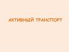 Активный транспорт