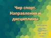 Чир спорт. Направления и дисциплины