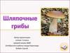 Шляпочные грибы