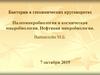 Бактерии в геохимических круговоротах. Палеомикробиология и космическая микробиология. Нефтяная микробиология