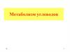 Метаболизм углеводов. Тема 6