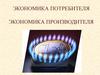 Экономика потребителя. Экономика производителя