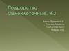 Подцарство Одноклеточные. Часть 3. 5-7 класс