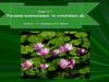 Рослини жовчогінної та сечогінної дії. Тема № 7