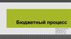 Бюджетный процесс