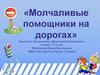 Дорожная безопасность. Молчаливые помощники на дорогах