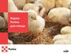 Корма Purina для птицы