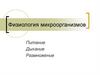 Физиология микроорганизмов. Питание. Дыхание. Размножение