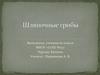 Шляпочные грибы. 6 класс