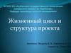 Жизненный цикл и структура проекта