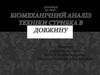 Біомеханічний аналіз техніки стрибка в довжину