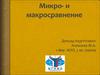 Микро- и макросравнение