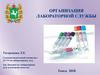 Организация лабораторной службы в системе здравоохранения. Клиническая лабораторная диагностика
