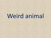 Weird animal