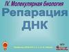 Репарация ДНК