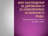 Мои наблюдения за деревьями и за изменениями их внешнего вида. 5 класс