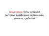 Типы нервной системы: диффузная, лестничная, узловая, трубчатая