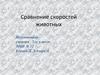 Сравнение скоростей животных