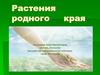 Растения родного края - город Волгоград