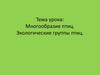 Систематические и экологические группы птиц