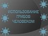 Использование грибов человеком