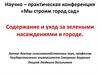 Содержание и уход за зелеными насаждениями в городе