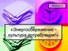 Энергосбережение. Культура потребления электроэнергии