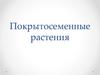 Покрытосеменные растения