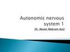 Autonomic nervous system