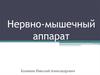 Нервно-мышечный аппарат