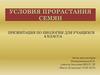 Условия прорастания семян