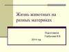 Жизнь животных на разных материках