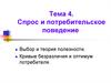 Спрос и потребительское поведение. Тема 4