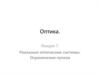 Оптика. Реальные оптические системы. Ограничения пучков. (Лекция 7)