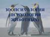 Зоопсихология (психология животных)