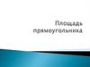 Площадь прямоугольника
