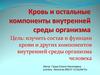 Кровь и остальные компоненты внутренней среды организма