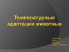 Температурные адаптации животных