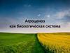 Агроценоз как биологическая система